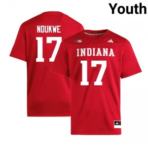 #17 Daniel Ndukwe IU Crimson Youth Jerseys High School College Football 632062-567