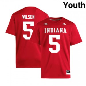 #5 Grant Wilson Indiana Crimson Youth Jersey Alumni College Football 174810-736